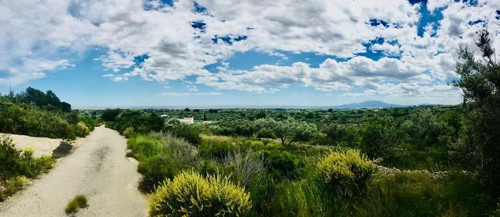 Campo de lujo Bellissima Bell Tent Tortosa