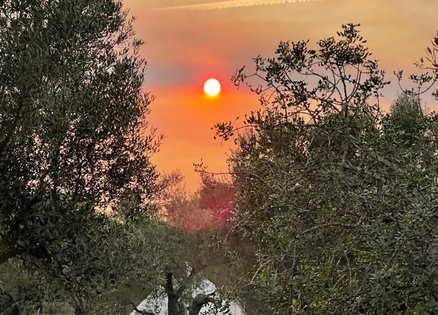 Campo de lujo Bellissima Bell Tent Tortosa