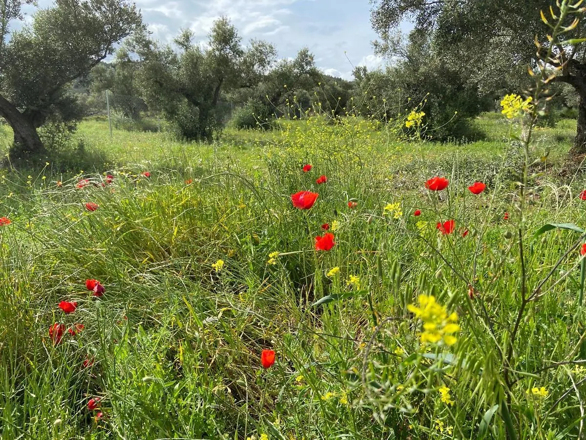 Luxury tent Bellissima Bell Tent Tortosa