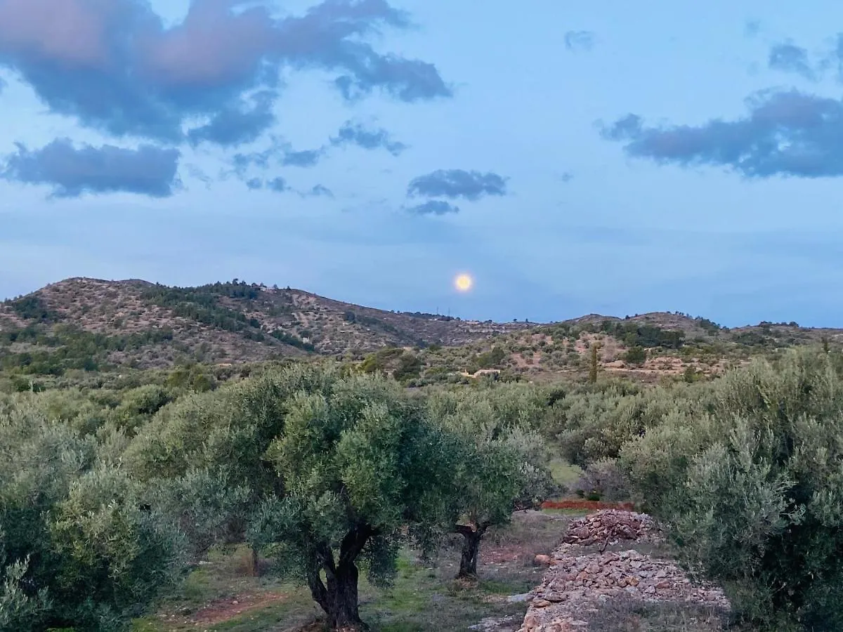 Bellissima Bell Tent Tortosa