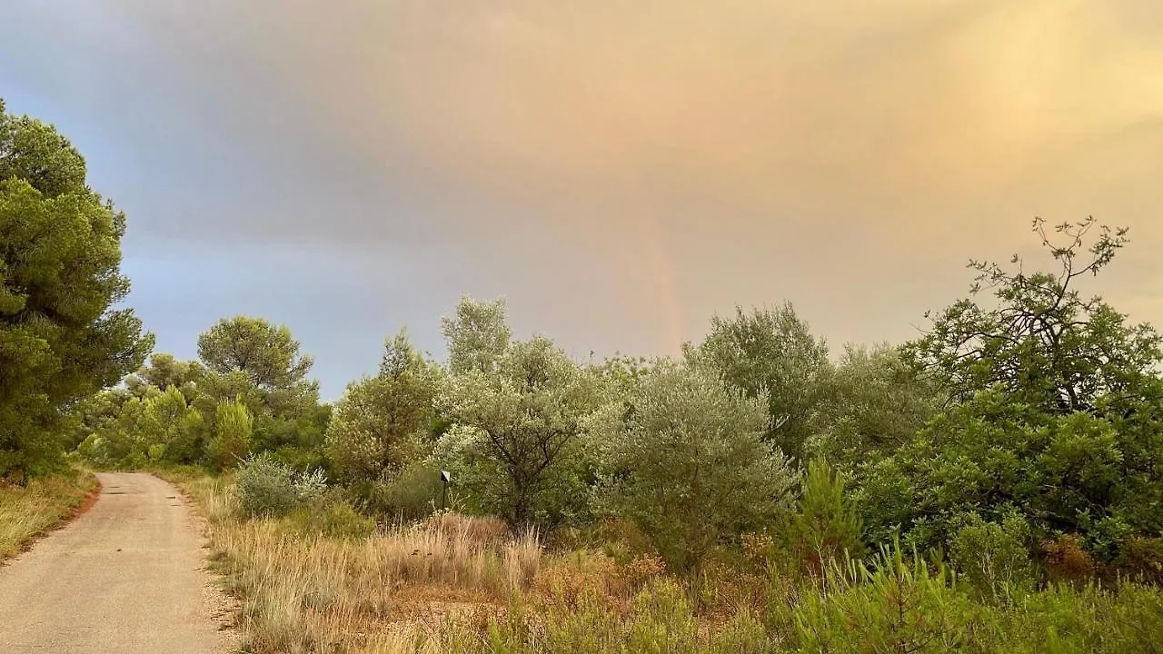 Bellissima Bell Tent Tortosa 0*,