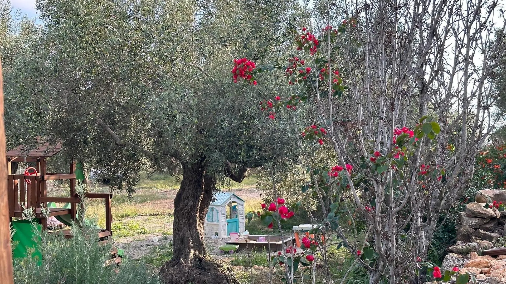Bellissima Bell Tent Tortosa Spain