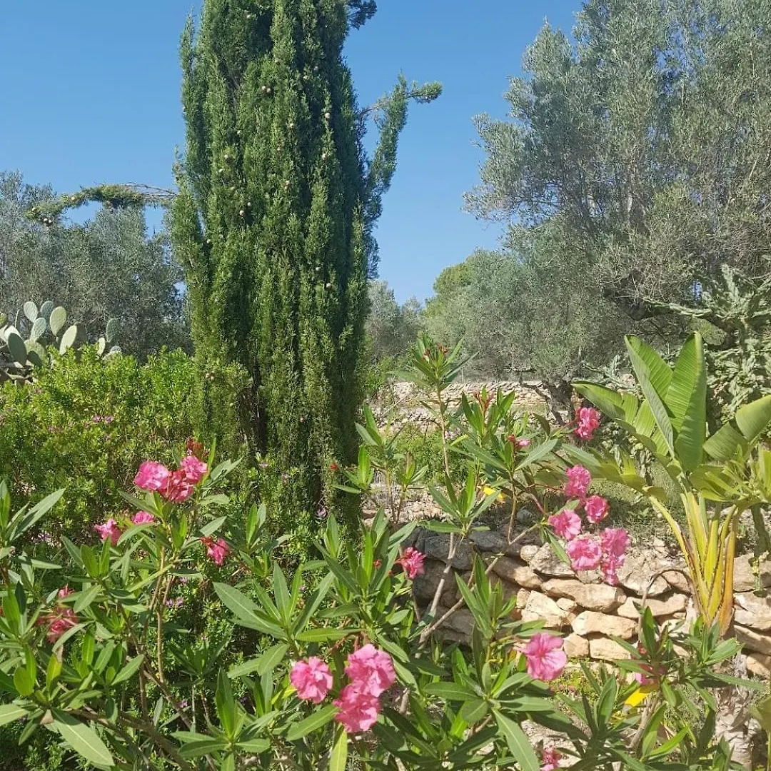 Luxury tent Bellissima Bell Tent Tortosa